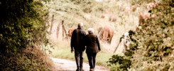 ośrodek wypoczynkowy oferta dla seniora para staruszków na spacerze